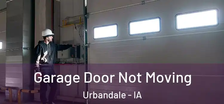  Garage Door Not Moving Urbandale - IA