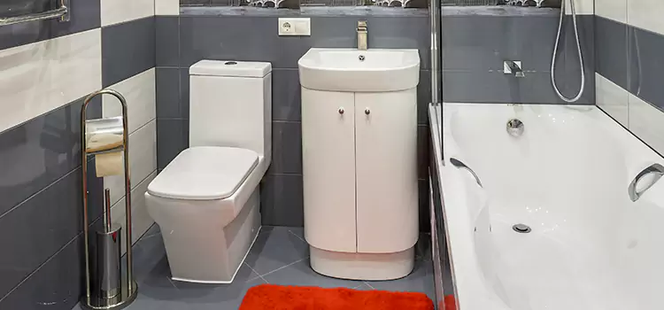 Hansgrohe Shaving Mirror Urbandale